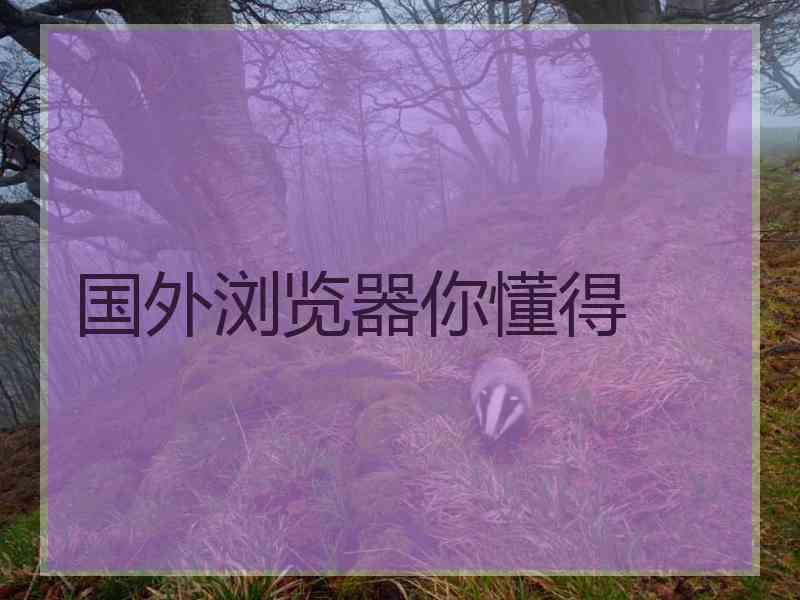 国外浏览器你懂得