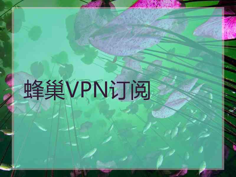 蜂巢VPN订阅