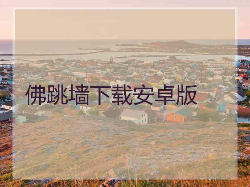佛跳墙下载安卓版