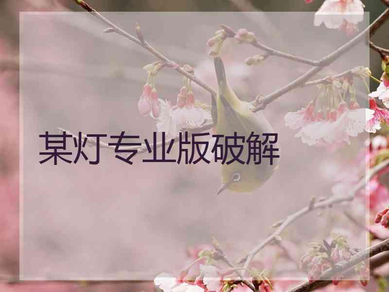某灯专业版破解