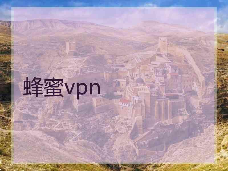 蜂蜜vpn