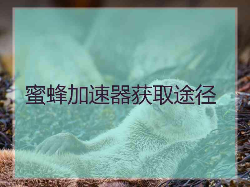 蜜蜂加速器获取途径