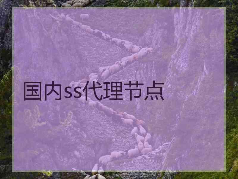 国内ss代理节点
