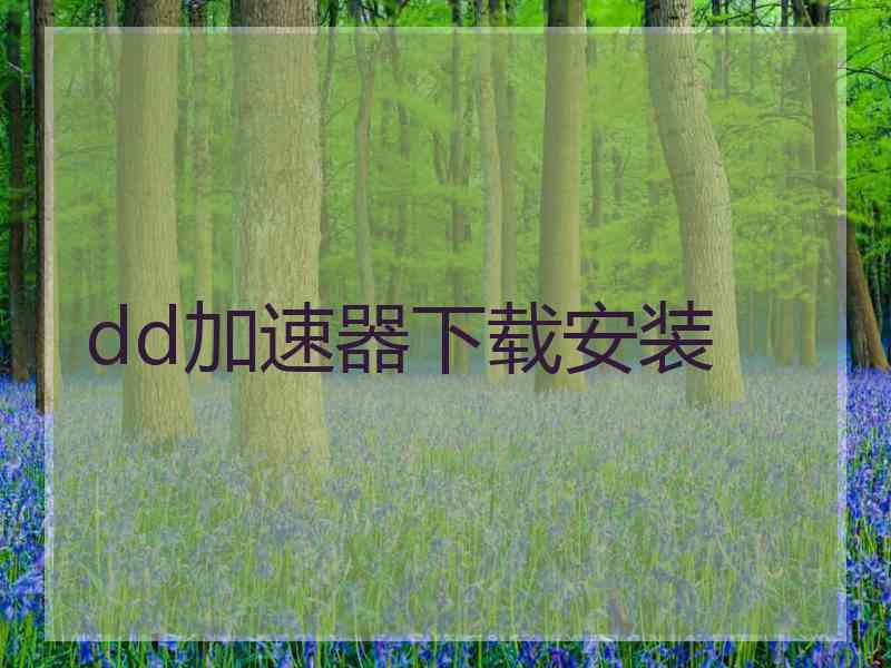 dd加速器下载安装