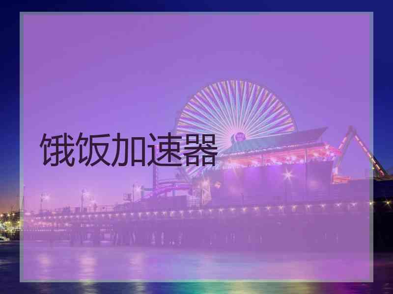 饿饭加速器