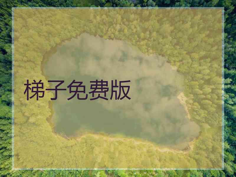 梯子免费版