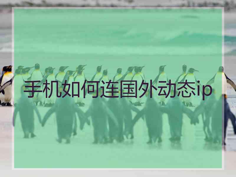 手机如何连国外动态ip