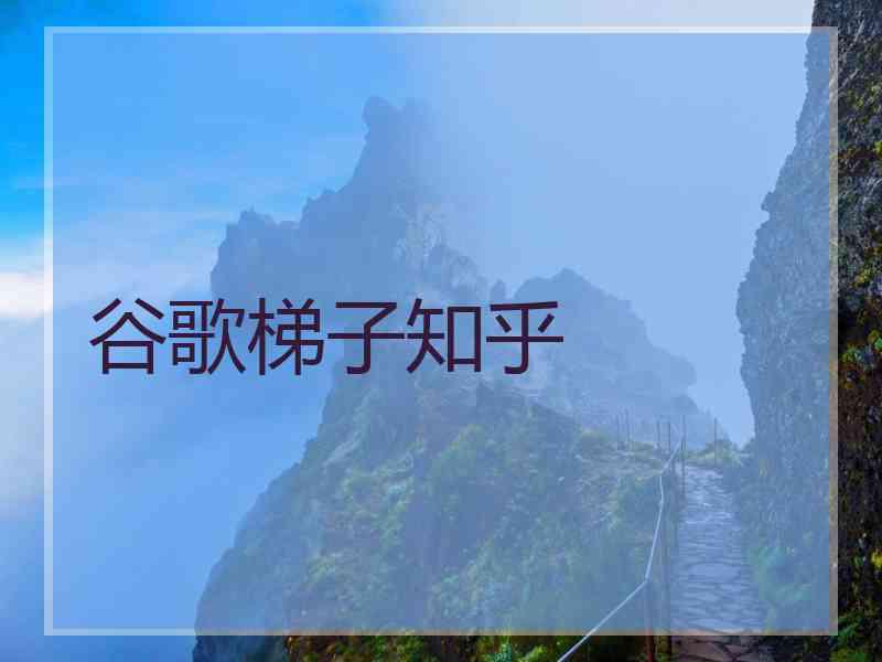 谷歌梯子知乎