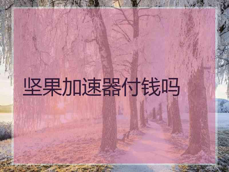 坚果加速器付钱吗
