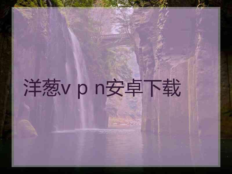 洋葱v p n安卓下载
