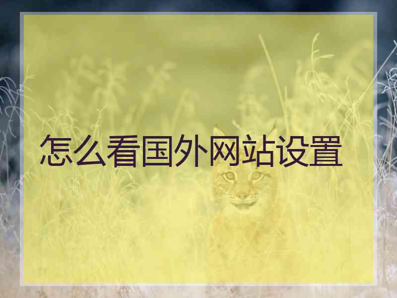 怎么看国外网站设置