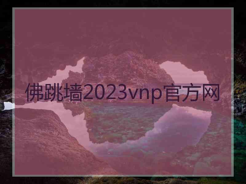 佛跳墙2023vnp官方网