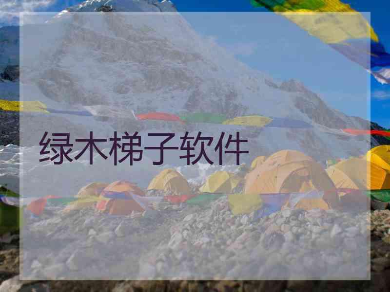 绿木梯子软件