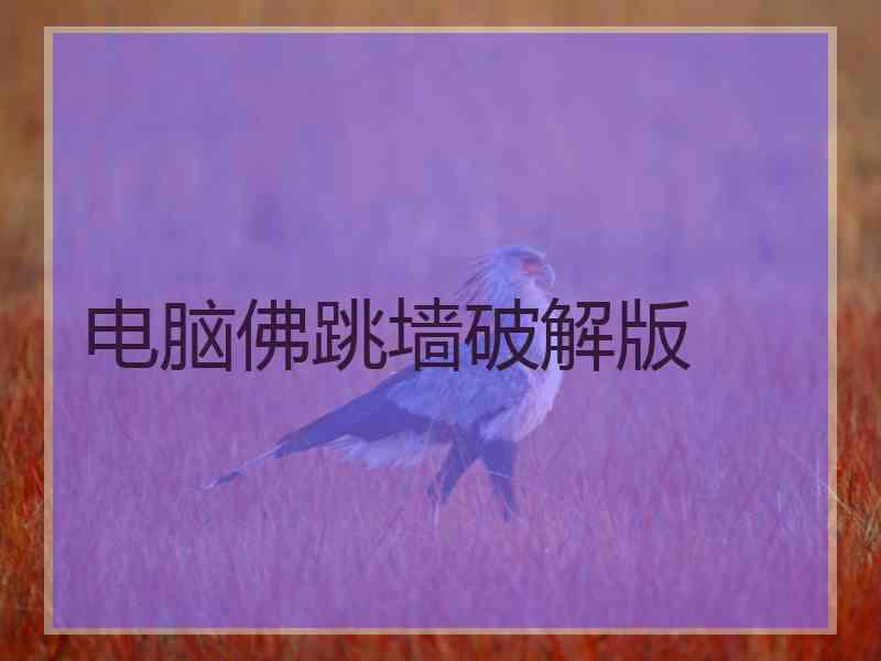 电脑佛跳墙破解版