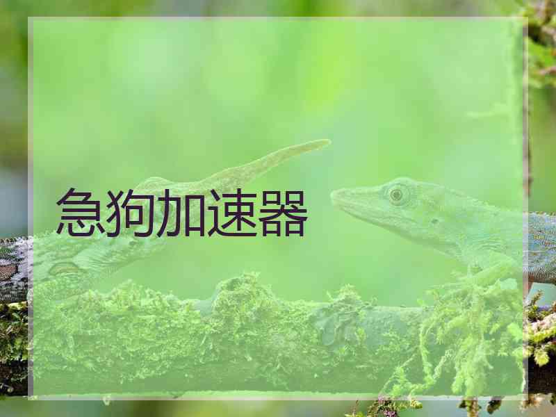 急狗加速器
