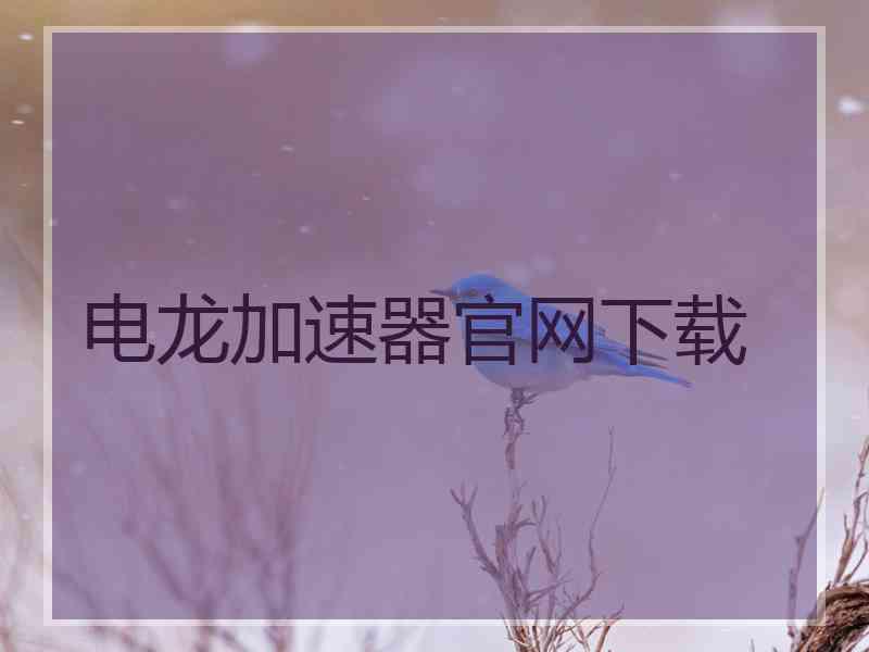 电龙加速器官网下载
