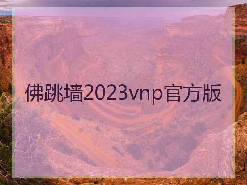 佛跳墙2023vnp官方版