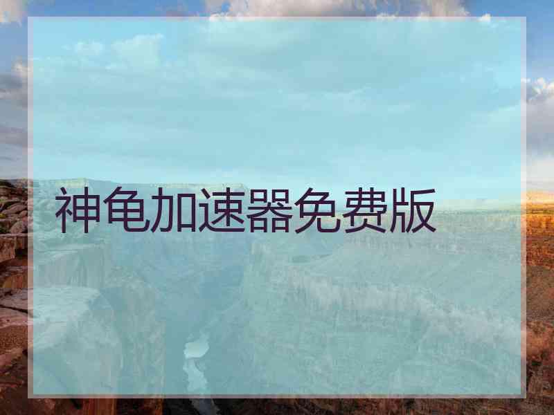 神龟加速器免费版
