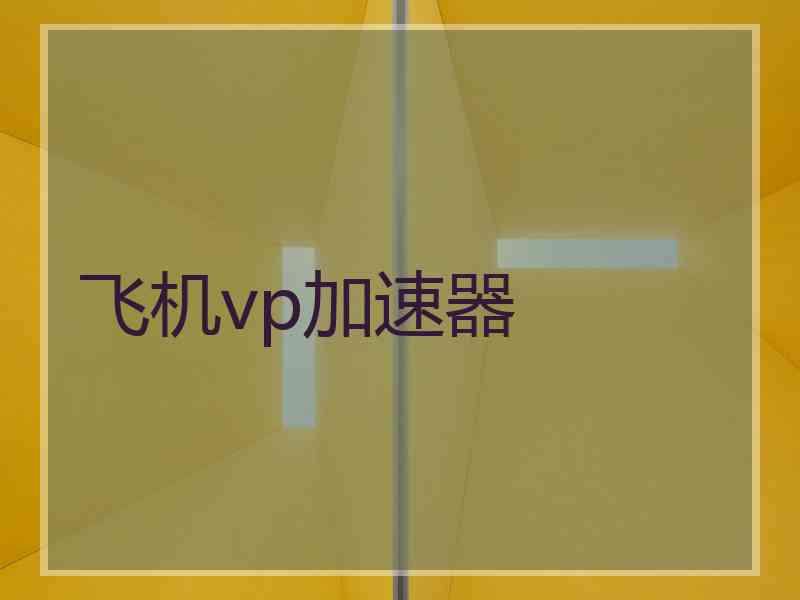 飞机vp加速器