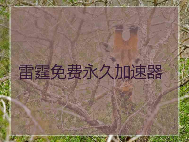 雷霆免费永久加速器