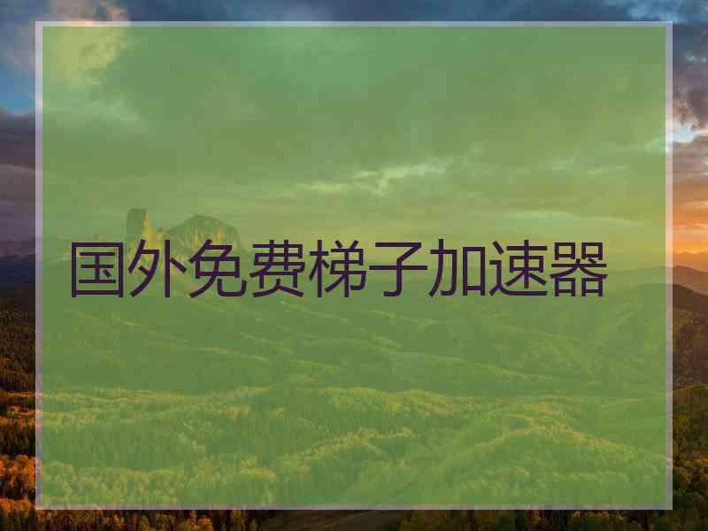 国外免费梯子加速器