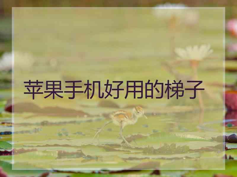 苹果手机好用的梯子