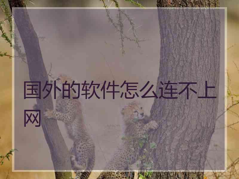 国外的软件怎么连不上网