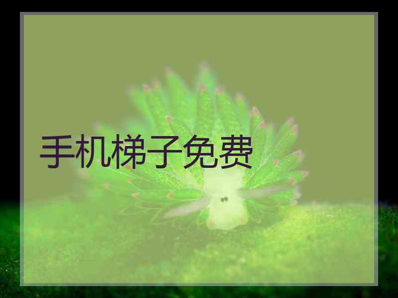 手机梯子免费