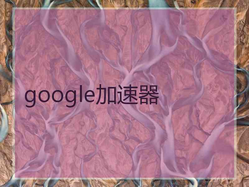 google加速器