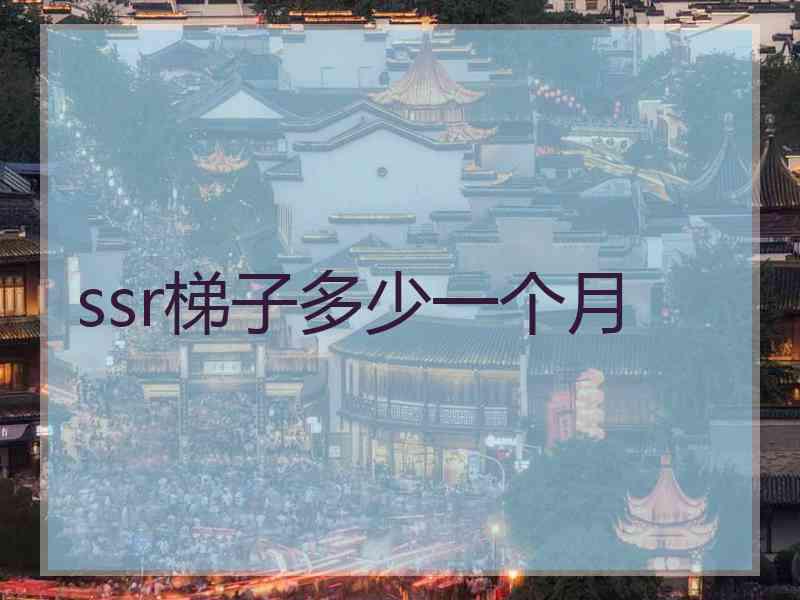 ssr梯子多少一个月