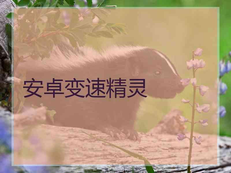 安卓变速精灵