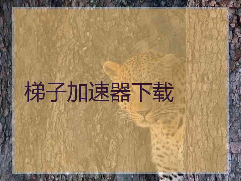 梯子加速器下载
