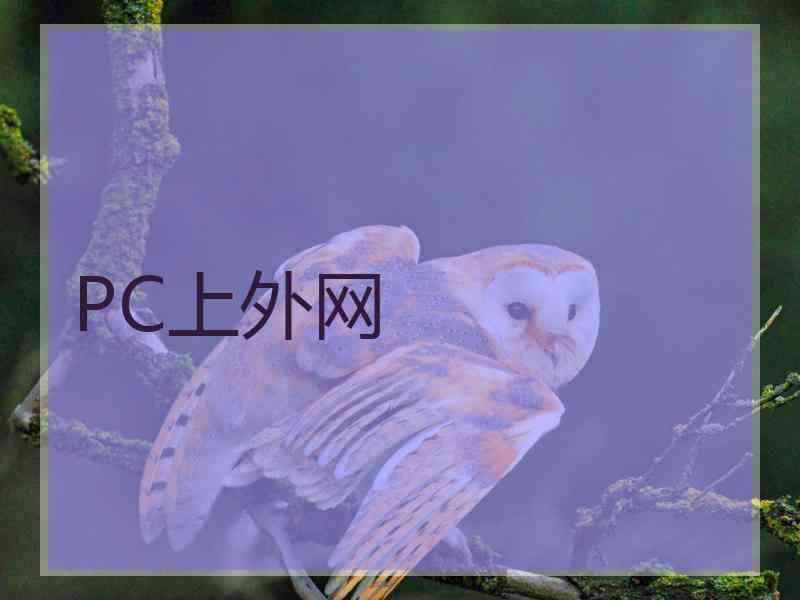 PC上外网