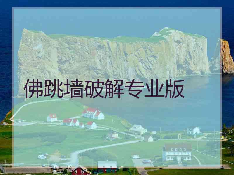 佛跳墙破解专业版