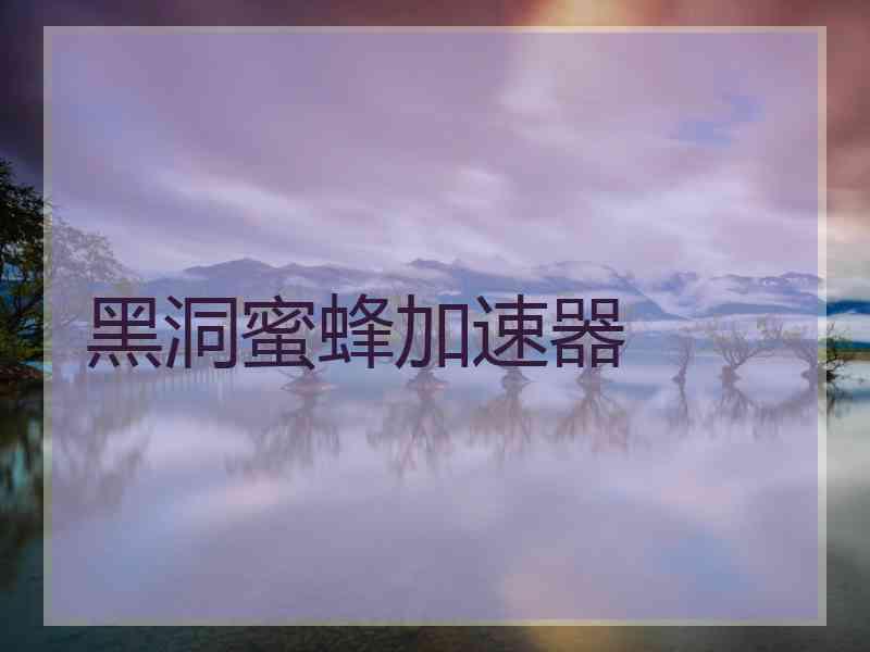 黑洞蜜蜂加速器