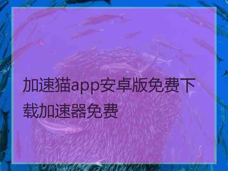 加速猫app安卓版免费下载加速器免费