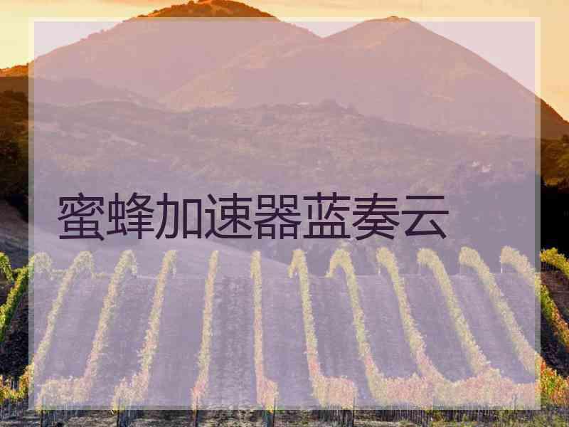 蜜蜂加速器蓝奏云