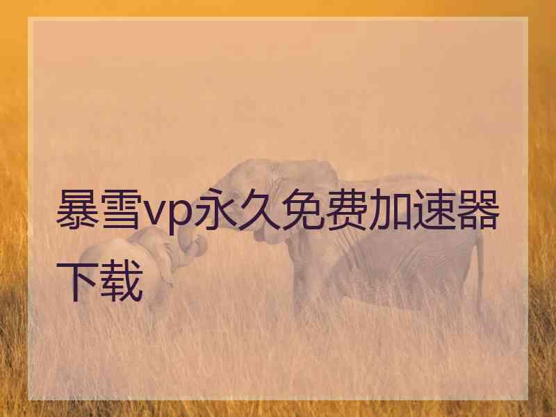 暴雪vp永久免费加速器下载