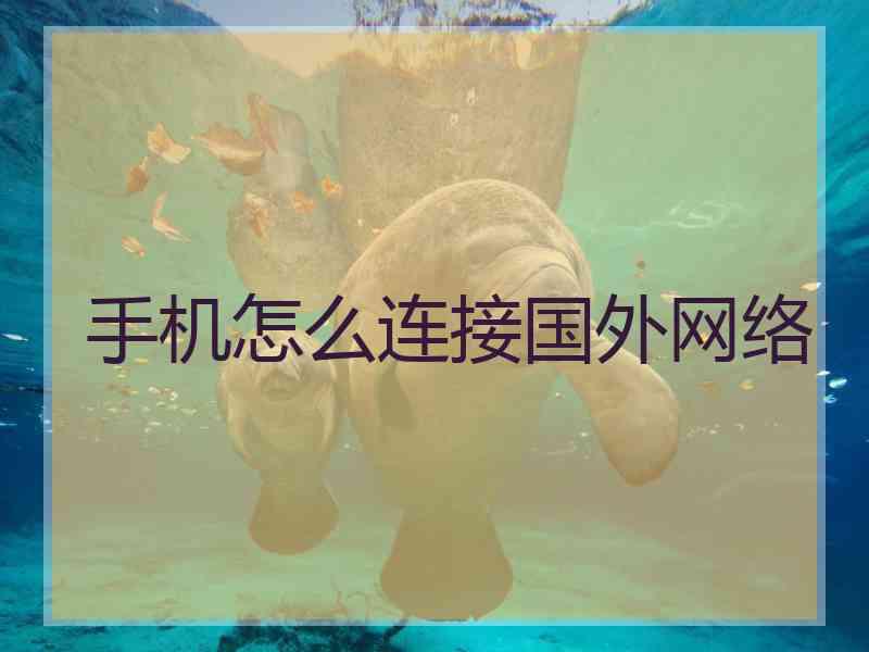 手机怎么连接国外网络