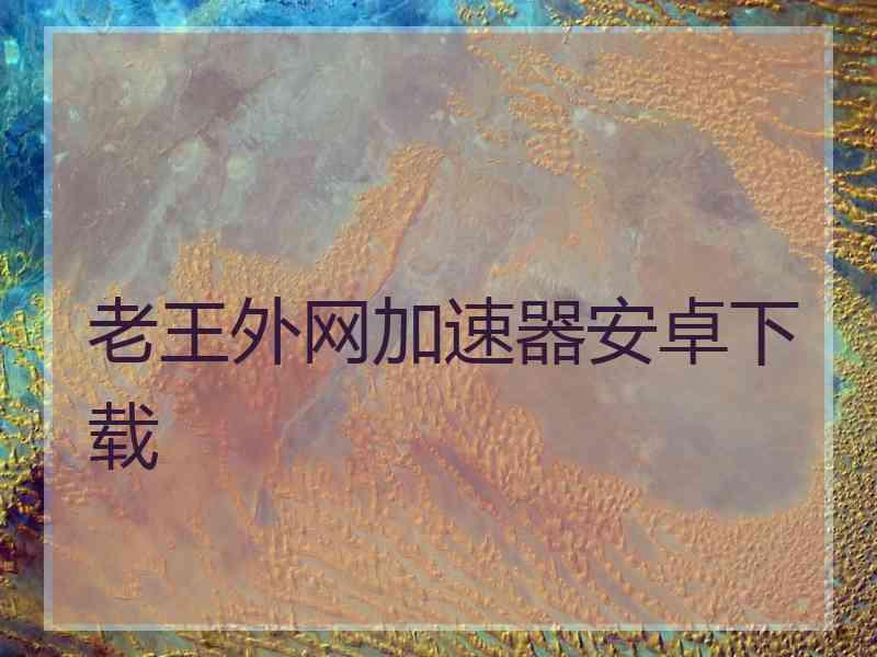 老王外网加速器安卓下载