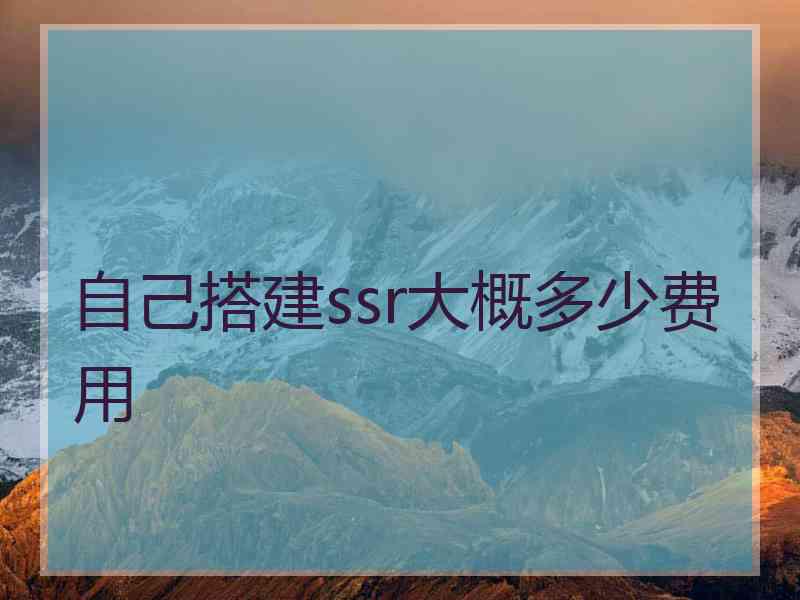 自己搭建ssr大概多少费用