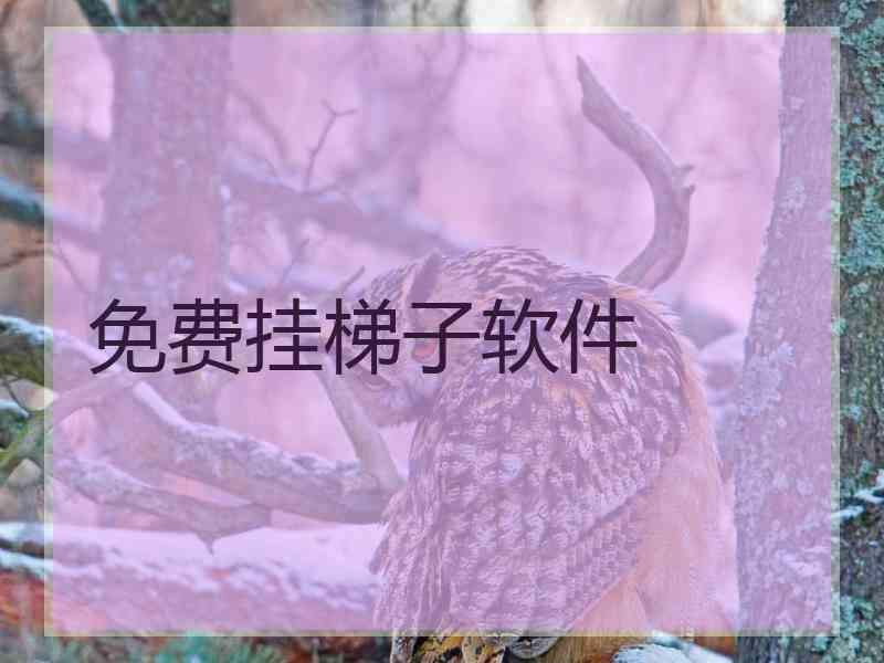 免费挂梯子软件