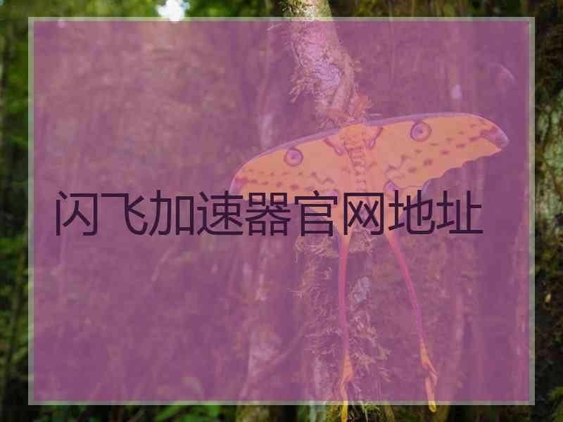 闪飞加速器官网地址