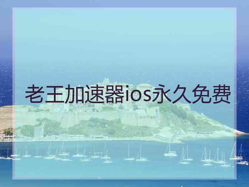 老王加速器ios永久免费