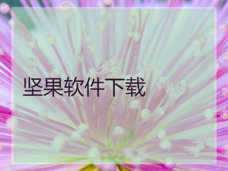 坚果软件下载