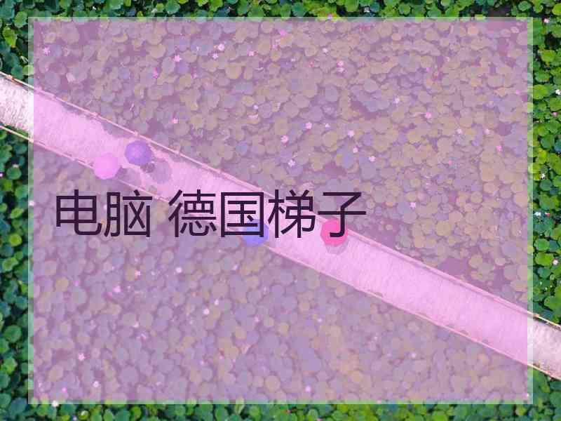电脑 德国梯子