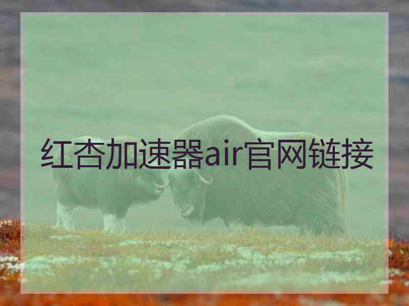 红杏加速器air官网链接