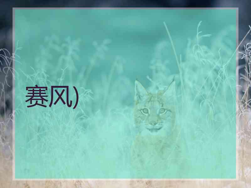 赛风)