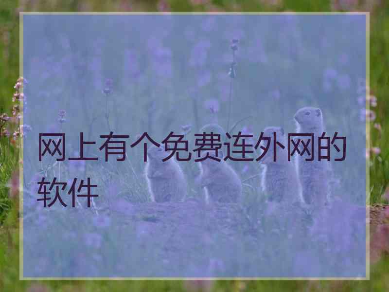 网上有个免费连外网的软件
