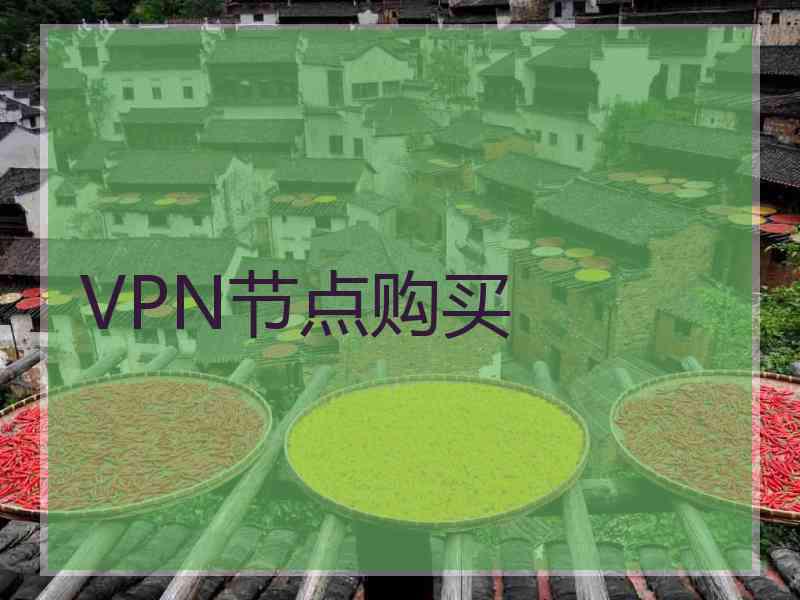 VPN节点购买